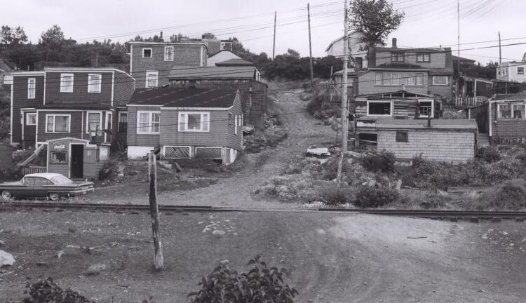 5 injured in a shooting at Nova Scotia’s Africville reunion