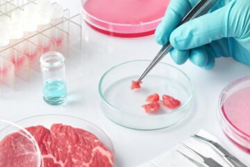 Biggest lab grown meat fake meat suppliers to look out for and avoid