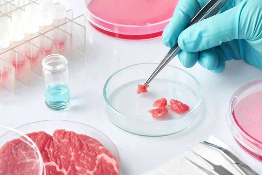 Biggest lab grown meat fake meat suppliers to look out for and avoid