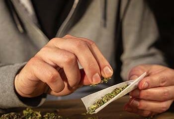 Cannabis / weed dispensaries and delivery services in Ottawa , ON