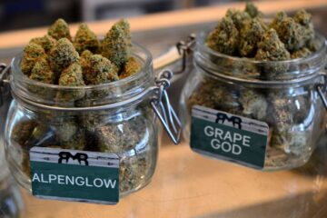 Here is a list of 20 cannabis stores in Colorado with their phone numbers and addresses