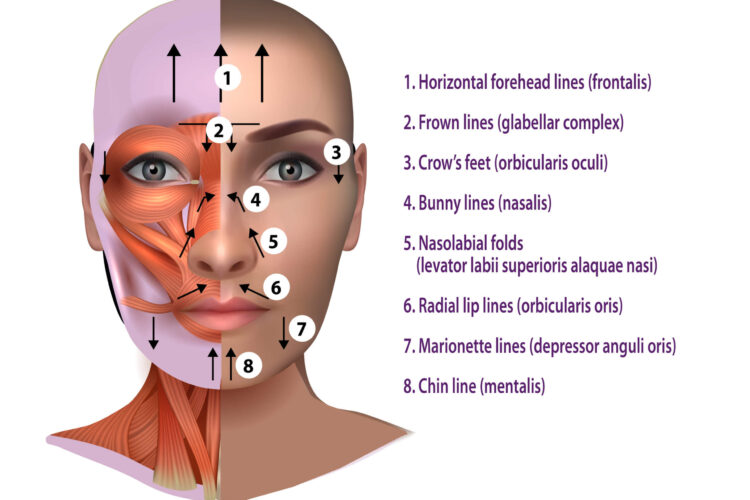 The Risks of Using Botox in Your Twenties: Premature Aging and Long-Term Side Effects