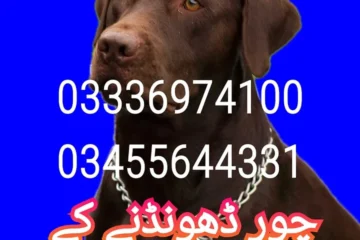 Army dog center peshawar 03336974100