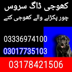 Army dog center multan 03017735103