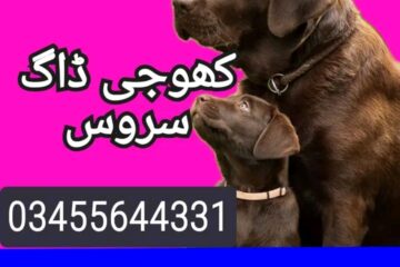 Army dog center abbottabad 03455644331