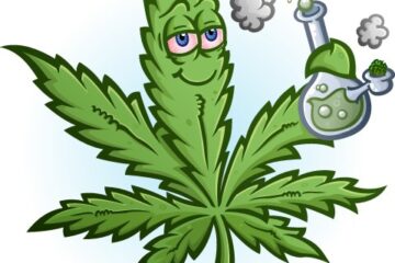 Cannabis stores & weed delivery in Carleton place